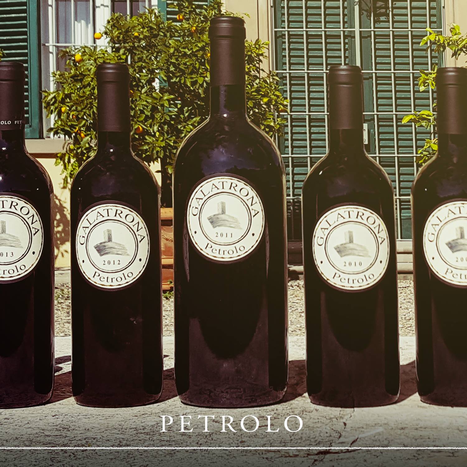 イタリア、トスカーナの生産者PETOROLO(ペトロ―ロ) | 輸入ワインの専門 